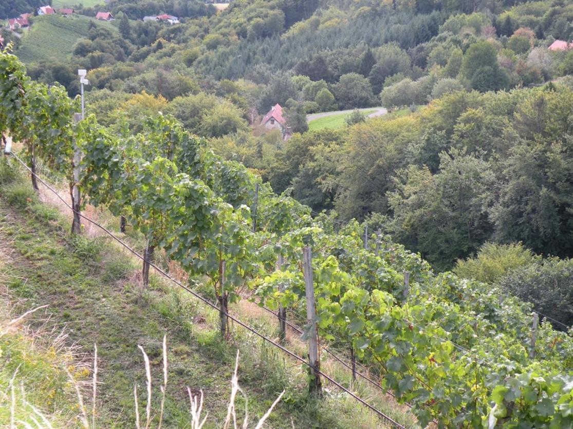 Weingut Albert, Familie Cramer Bed & Breakfast Kitzeck im Sausal Bagian luar foto