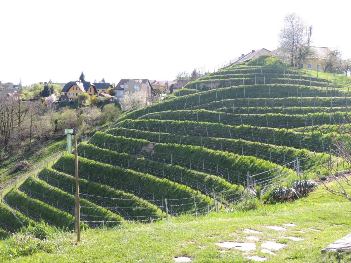 Weingut Albert, Familie Cramer Bed & Breakfast Kitzeck im Sausal Bagian luar foto