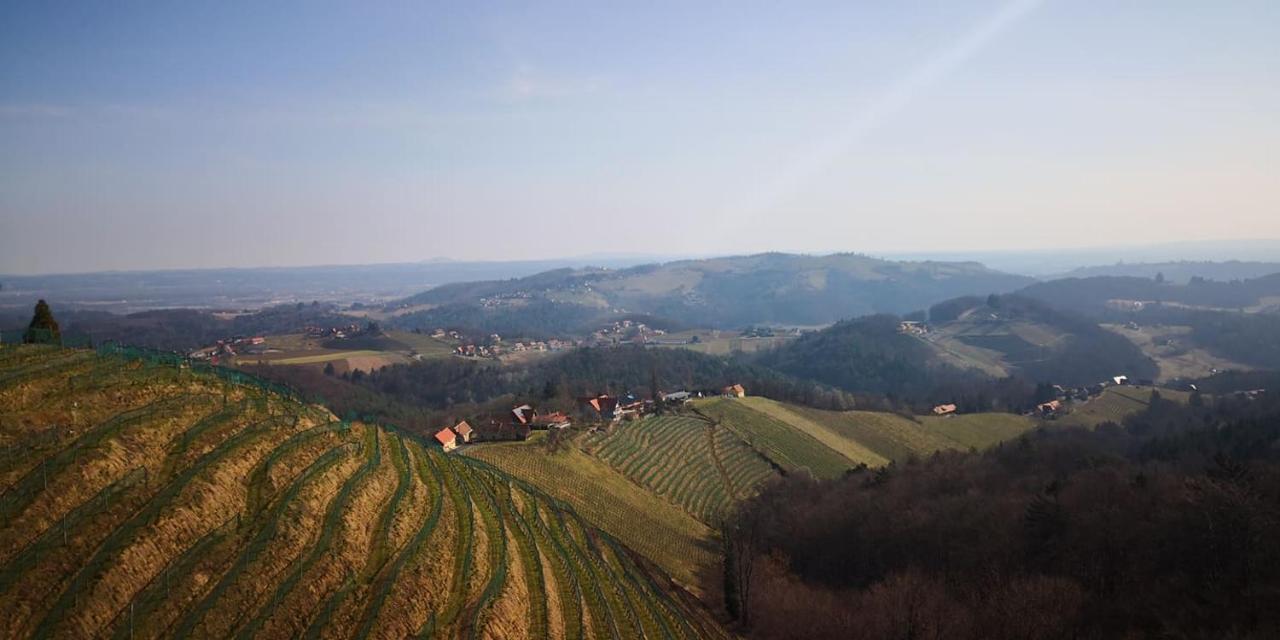 Weingut Albert, Familie Cramer Bed & Breakfast Kitzeck im Sausal Bagian luar foto