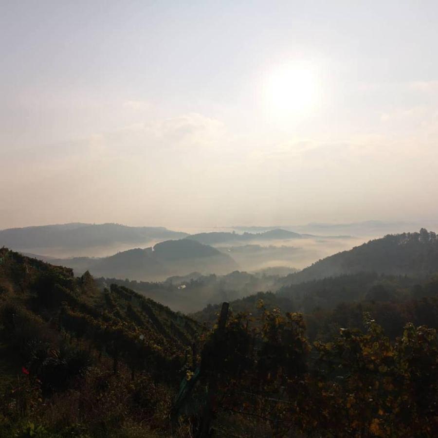 Weingut Albert, Familie Cramer Bed & Breakfast Kitzeck im Sausal Bagian luar foto