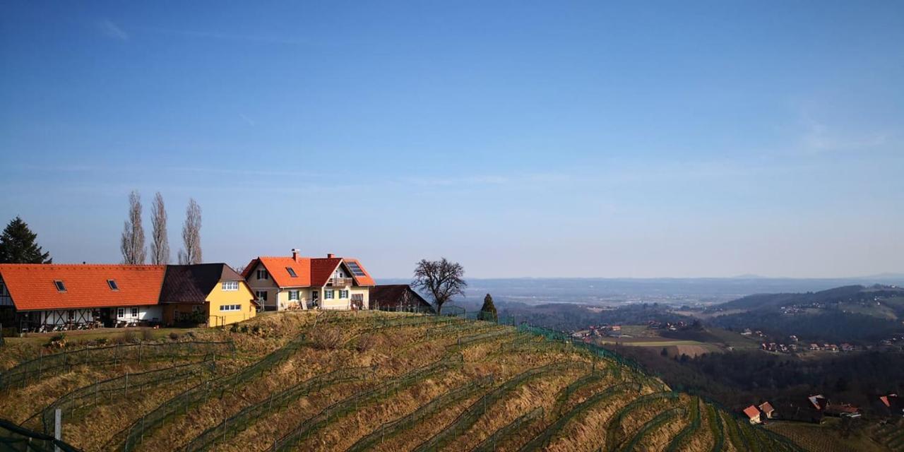 Weingut Albert, Familie Cramer Bed & Breakfast Kitzeck im Sausal Bagian luar foto