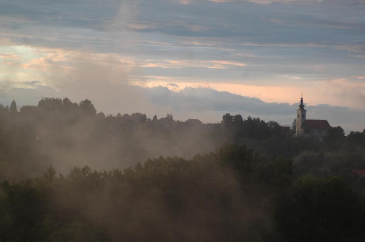 Weingut Albert, Familie Cramer Bed & Breakfast Kitzeck im Sausal Bagian luar foto