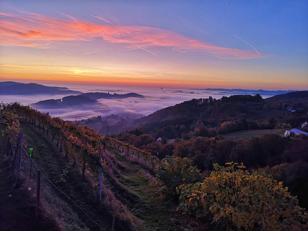 Weingut Albert, Familie Cramer Bed & Breakfast Kitzeck im Sausal Bagian luar foto