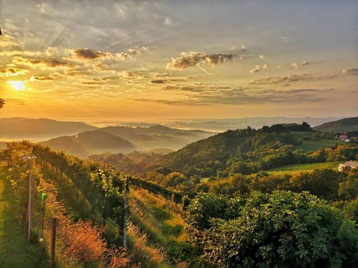 Weingut Albert, Familie Cramer Bed & Breakfast Kitzeck im Sausal Bagian luar foto